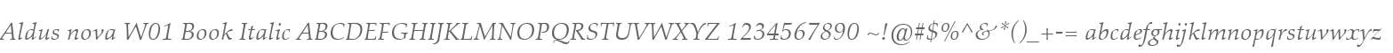 Aldus nova W01 Book Italic