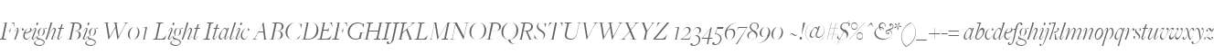 Freight Big W01 Light Italic