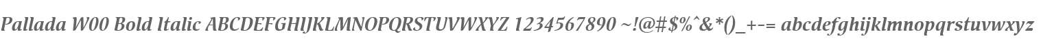 Pallada W00 Bold Italic