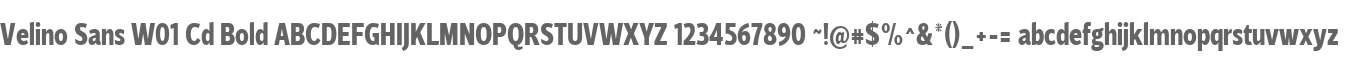 Velino Sans W01 Cd Bold