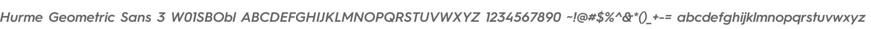 Hurme Geometric Sans 3 W01SBObl