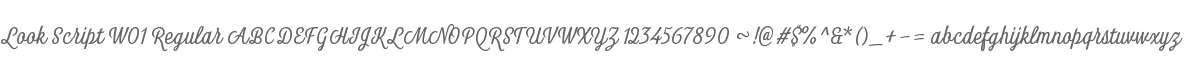 Look Script W01 Regular