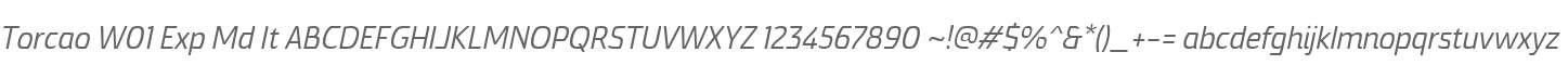 Torcao W01 Exp Md It