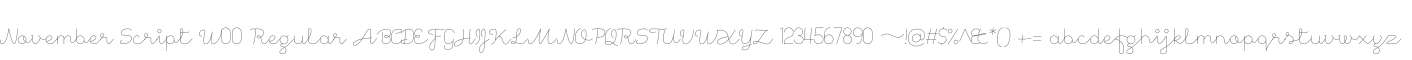 November Script W00 Regular