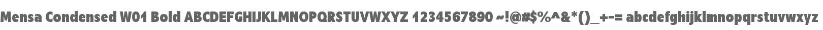 Mensa Condensed W01 Bold