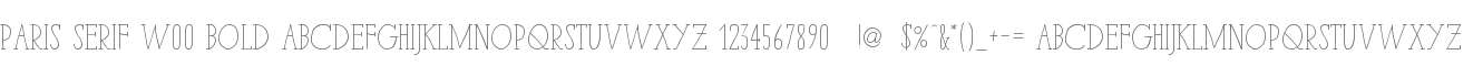 Paris Serif W00 Bold