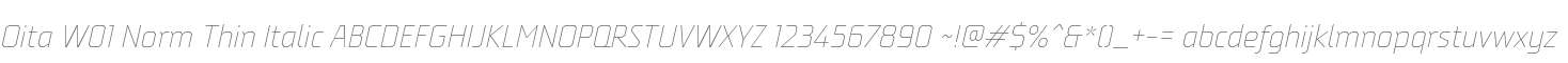 Oita W01 Norm Thin Italic