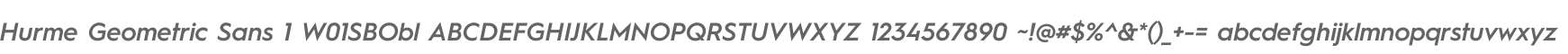 Hurme Geometric Sans 1 W01SBObl
