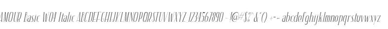 AMOUR Basic W04 Italic