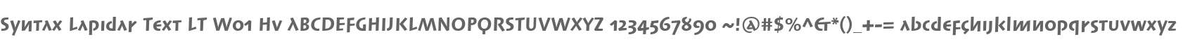 Syntax Lapidar Text LT W01 Hv