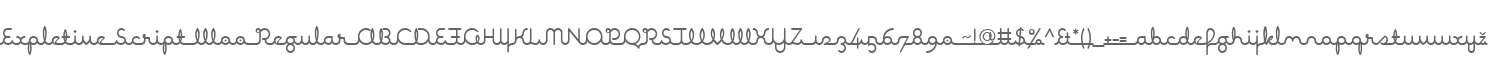 Expletive Script W00 Regular
