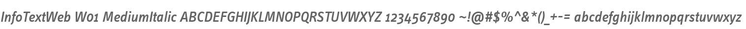 InfoTextWeb W01 MediumItalic