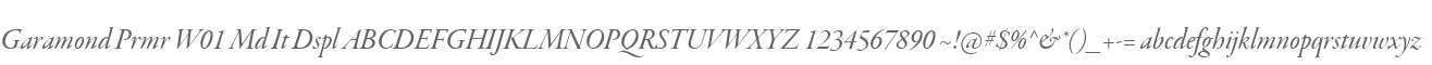 Garamond Prmr W01 Md It Dspl