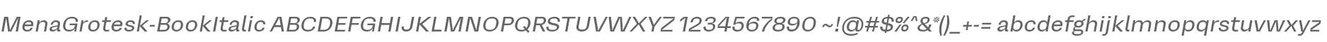 MenaGrotesk-BookItalic