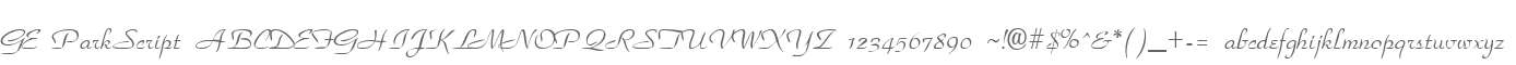 GE ParkScript