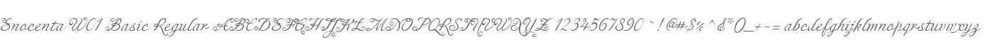 Enocenta W01 Basic Regular