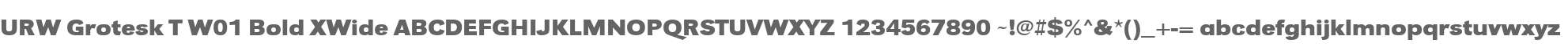 URW Grotesk T W01 Bold XWide