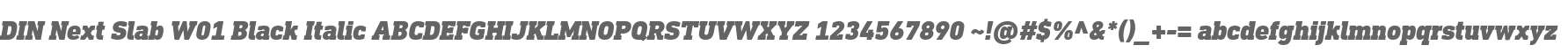 DIN Next Slab W01 Black Italic