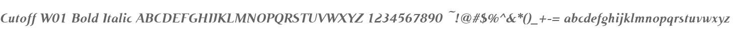 Cutoff W01 Bold Italic