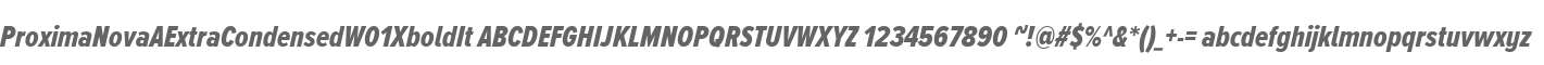 ProximaNovaAExtraCondensedW01XboldIt