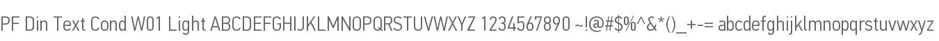 PF Din Text Cond W01 Light