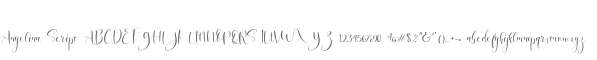 Angelina Script