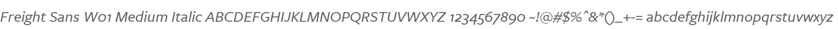 Freight Sans W01 Medium Italic