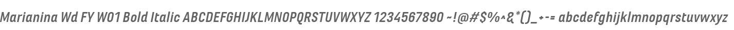 Marianina Wd FY W01 Bold Italic