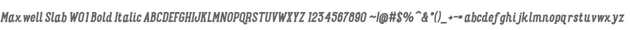 Maxwell Slab W01 Bold Italic