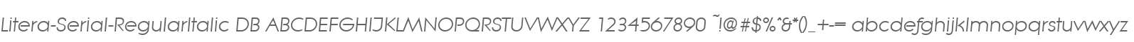 Litera-Serial-RegularItalic DB