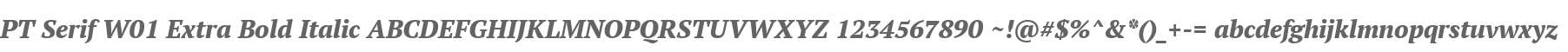 PT Serif W01 Extra Bold Italic
