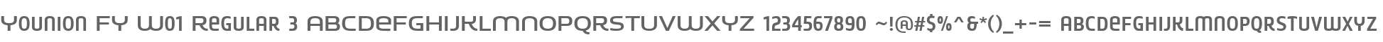 Younion FY W01 Regular 3