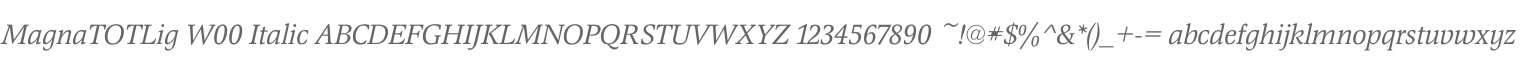 MagnaTOTLig W00 Italic