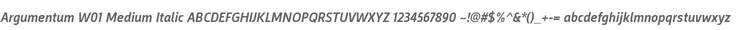 Argumentum W01 Medium Italic
