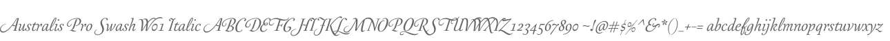 Australis Pro Swash W01 Italic