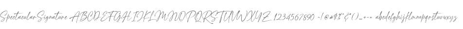 Spectacular Signature