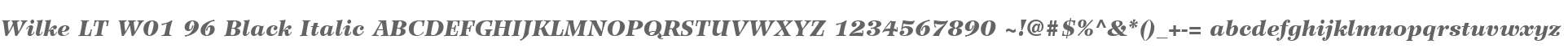Wilke LT W01 96 Black Italic