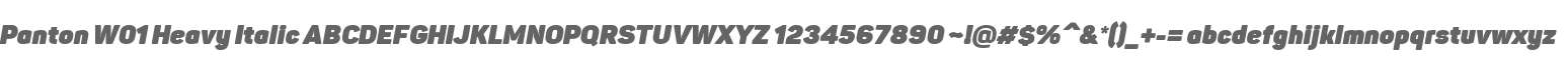 Panton W01 Heavy Italic
