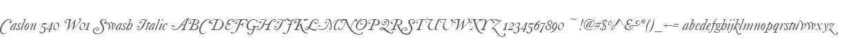 Caslon 540 W01 Swash Italic