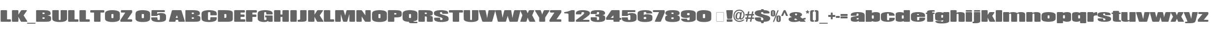 LK_BULLTOZ 05