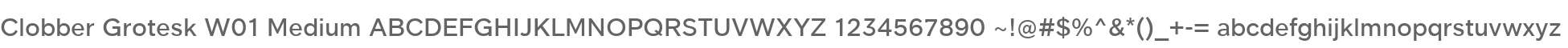 Clobber Grotesk W01 Medium