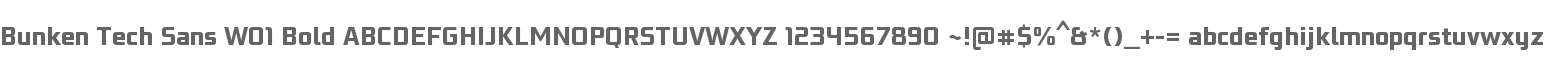 Bunken Tech Sans W01 Bold