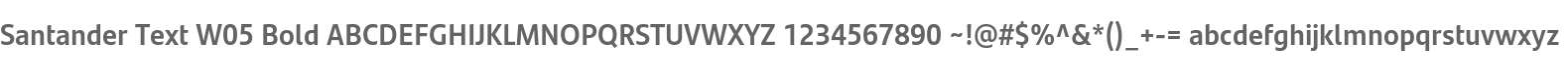 Santander Text W05 Bold