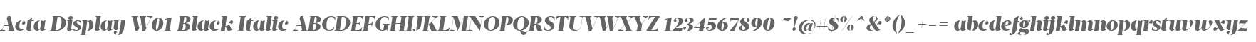 Acta Display W01 Black Italic
