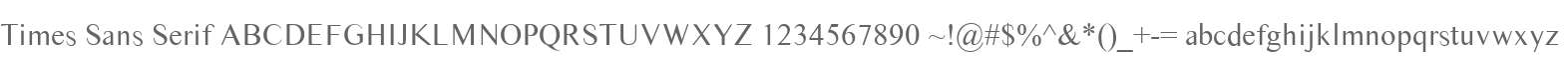Times Sans Serif
