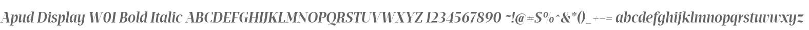 Apud Display W01 Bold Italic