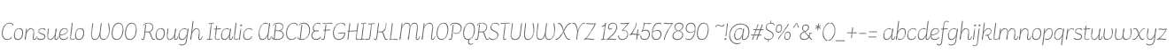 Consuelo W00 Rough Italic