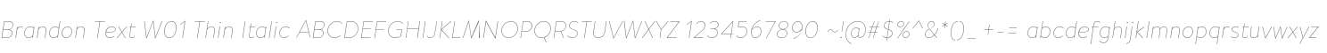 Brandon Text W01 Thin Italic