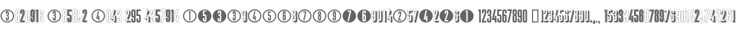 Display Digits Five W95 Regular