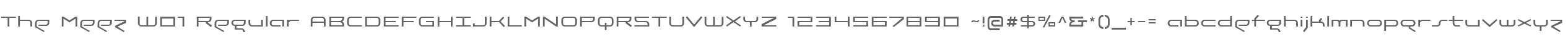 The Meez W01 Regular